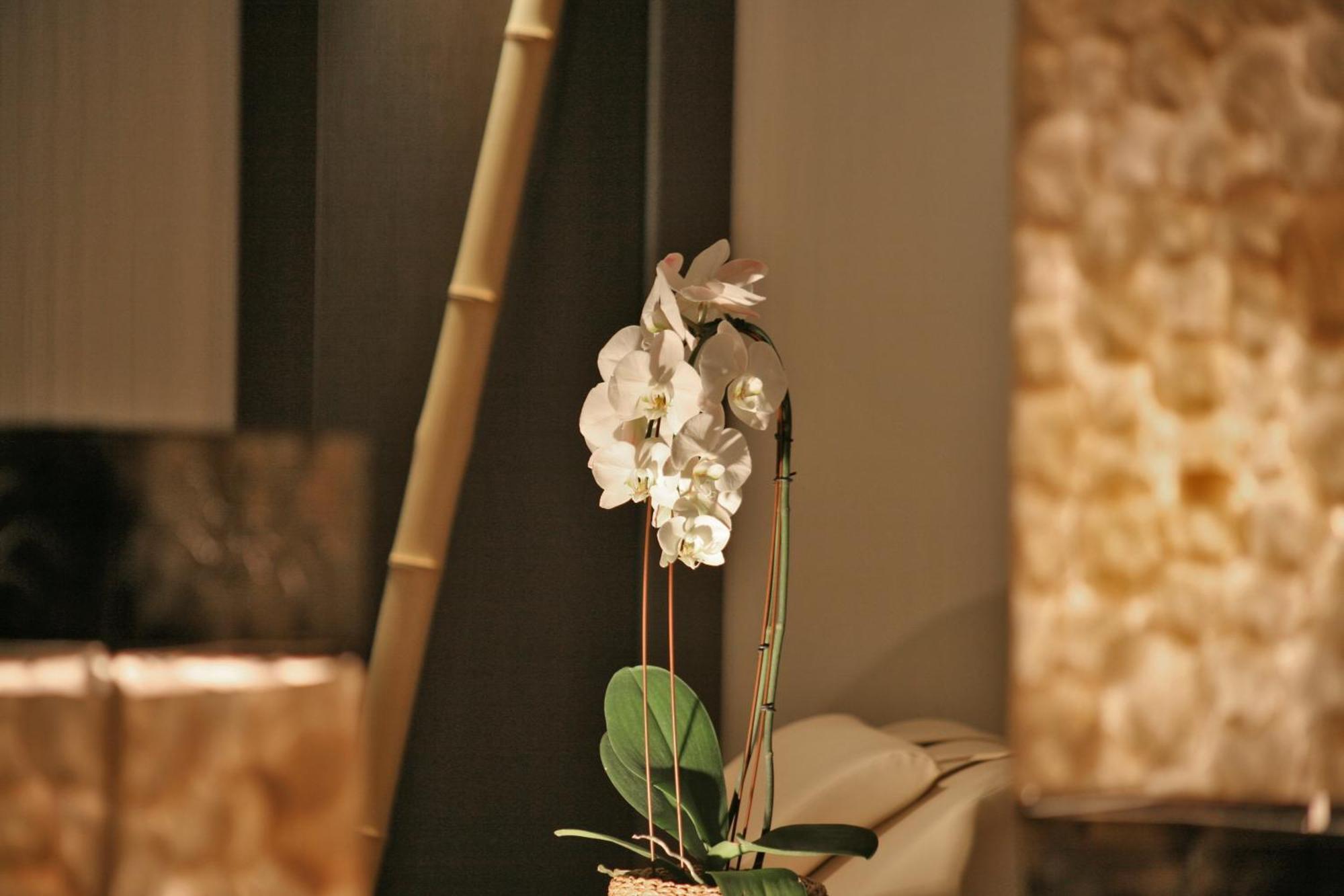 Hotel & Spa Waldecker Hof فيلنغن المظهر الخارجي الصورة